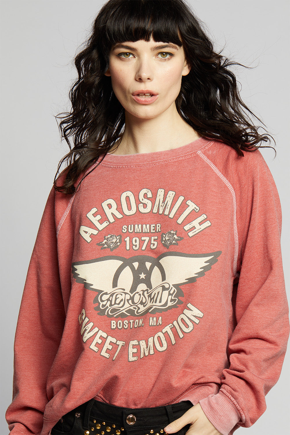 Aerosmith Sweatshirt