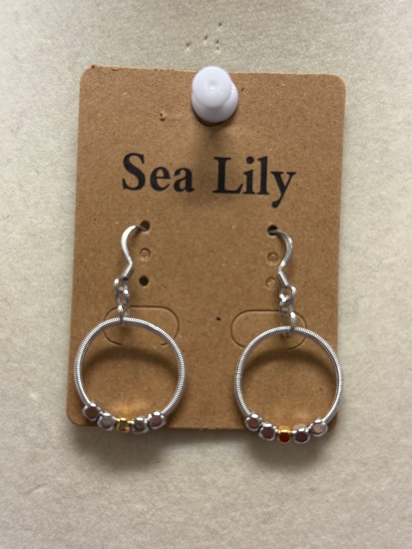 Silver Small Hoop