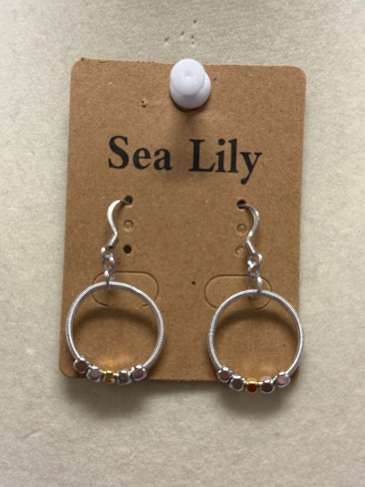 Silver Small Hoop