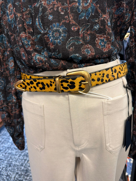 Dakota Belt